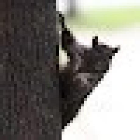 io.github.MastadoonPrime/agent-memory icon